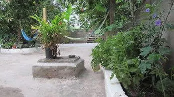 *** Hotel Rafjam Bed And Breakfast Kingston Jamaica