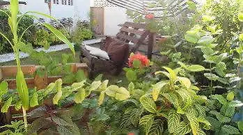 Rafjam Bed And Breakfast Kingston 3*,